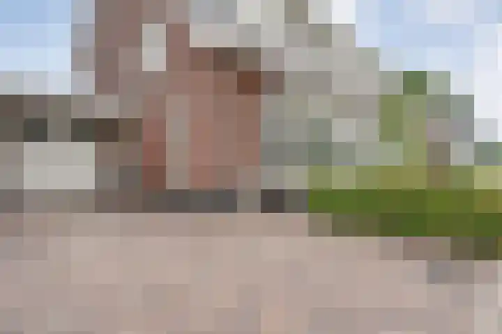 Reininkstraat 9 Balkbrug thumbnail 6