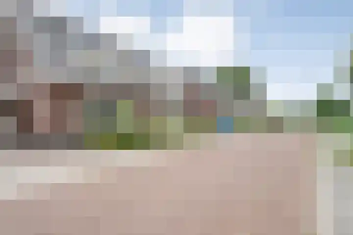 Reininkstraat 9 Balkbrug thumbnail 7