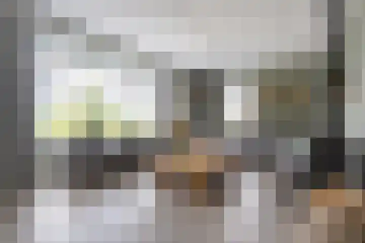 Reininkstraat 9 Balkbrug thumbnail 8