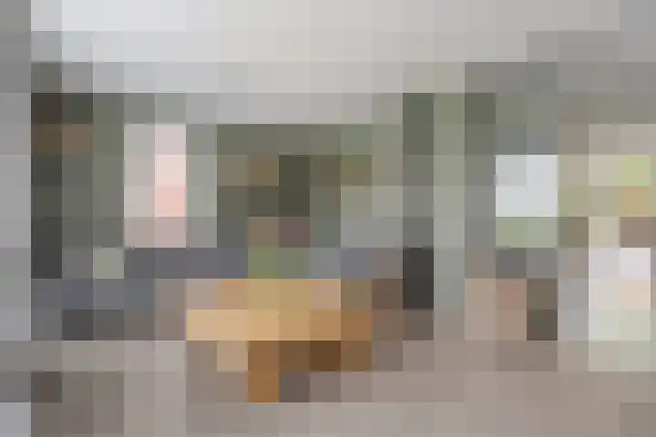 Reininkstraat 9 Balkbrug thumbnail 9