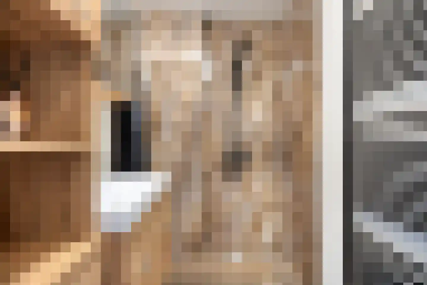 Reinkenstraat 31 Eindhoven thumbnail 19