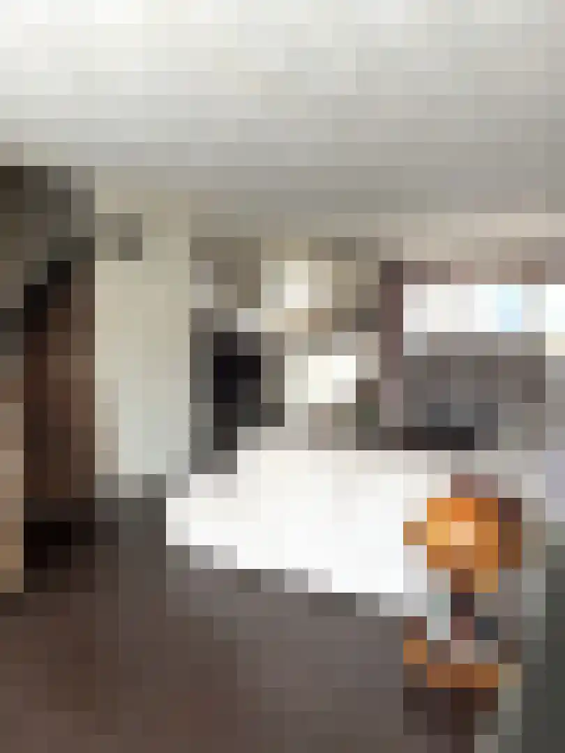 Reinkenstraat 31 Eindhoven thumbnail 4