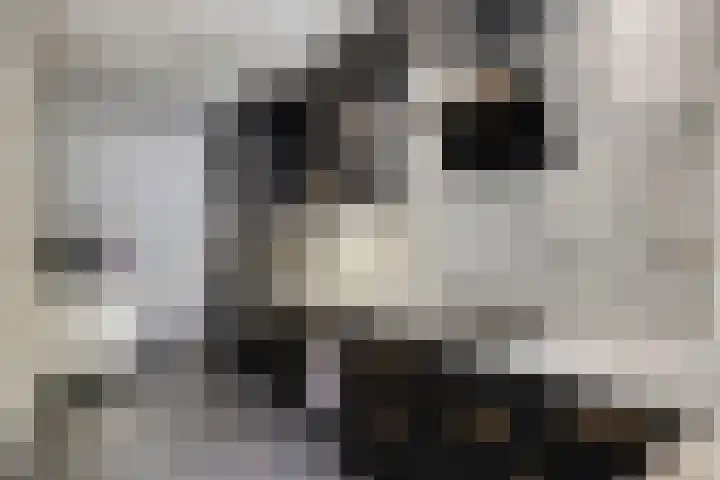 Reinkenstraat 32 Eindhoven thumbnail 11
