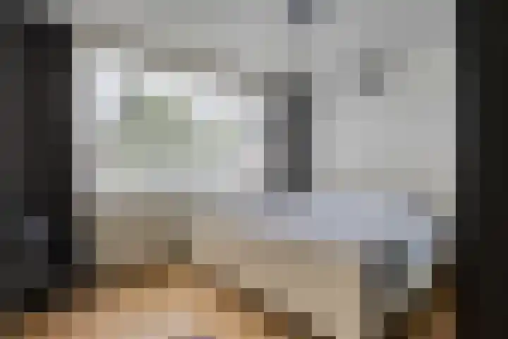 Reinkenstraat 32 Eindhoven thumbnail 17