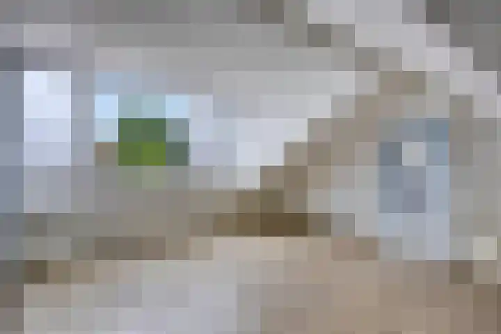 Reinkenstraat 32 Eindhoven thumbnail 23