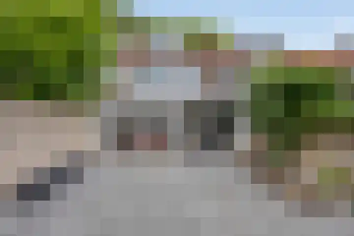 Reinkenstraat 32 Eindhoven thumbnail 24