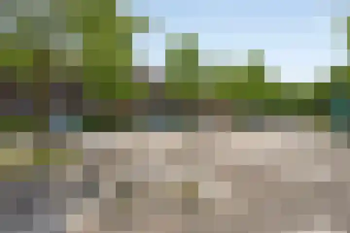 Reinkenstraat 32 Eindhoven thumbnail 32