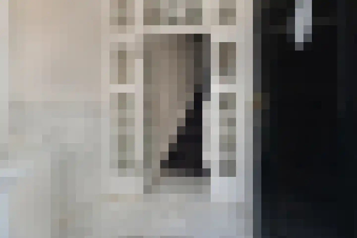 Reinkenstraat 4 B Den Haag thumbnail 5