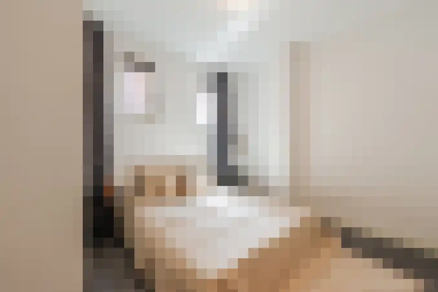 Reinkenstraat 42 G Eindhoven thumbnail 14