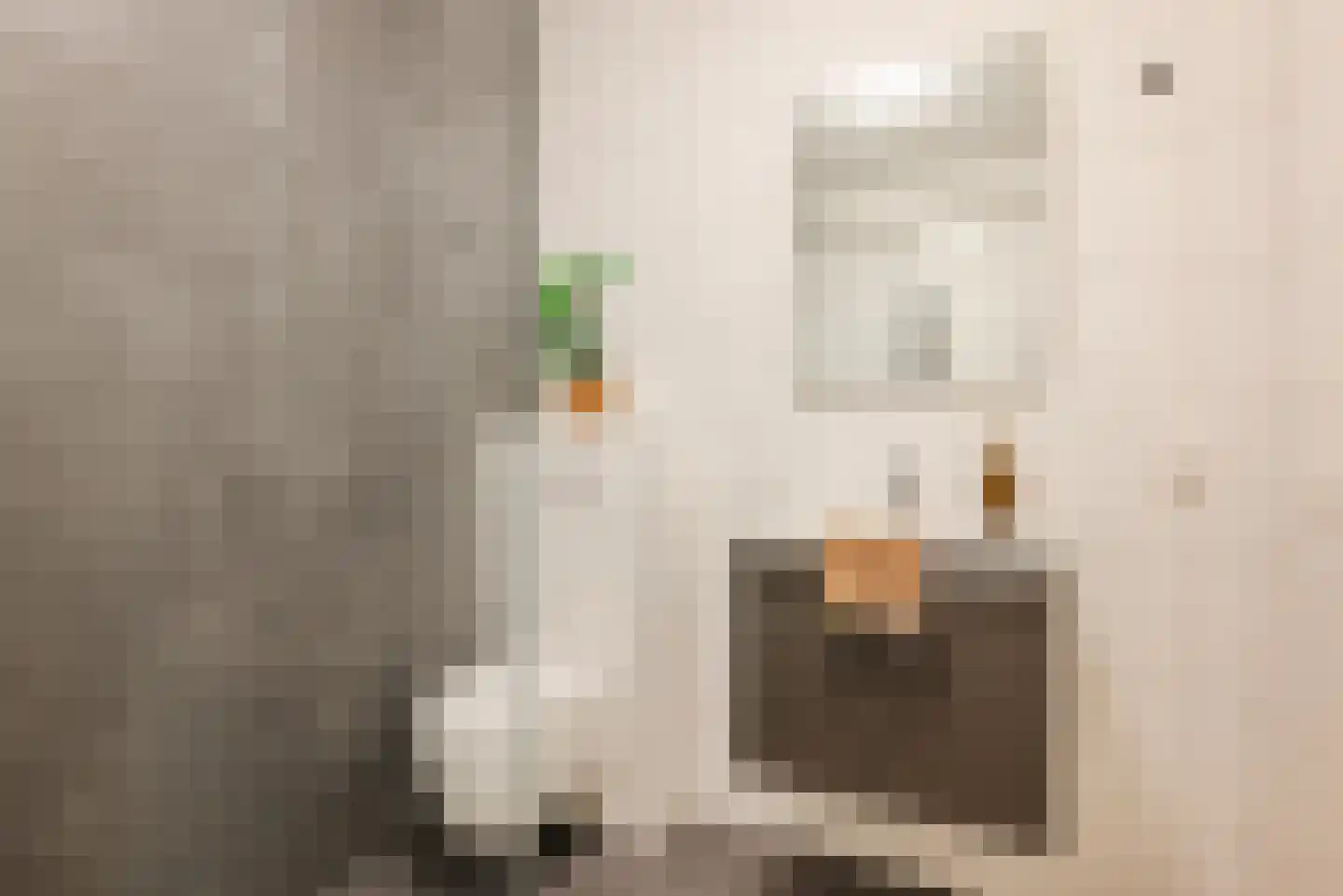 Reinkenstraat 42 G Eindhoven thumbnail 18