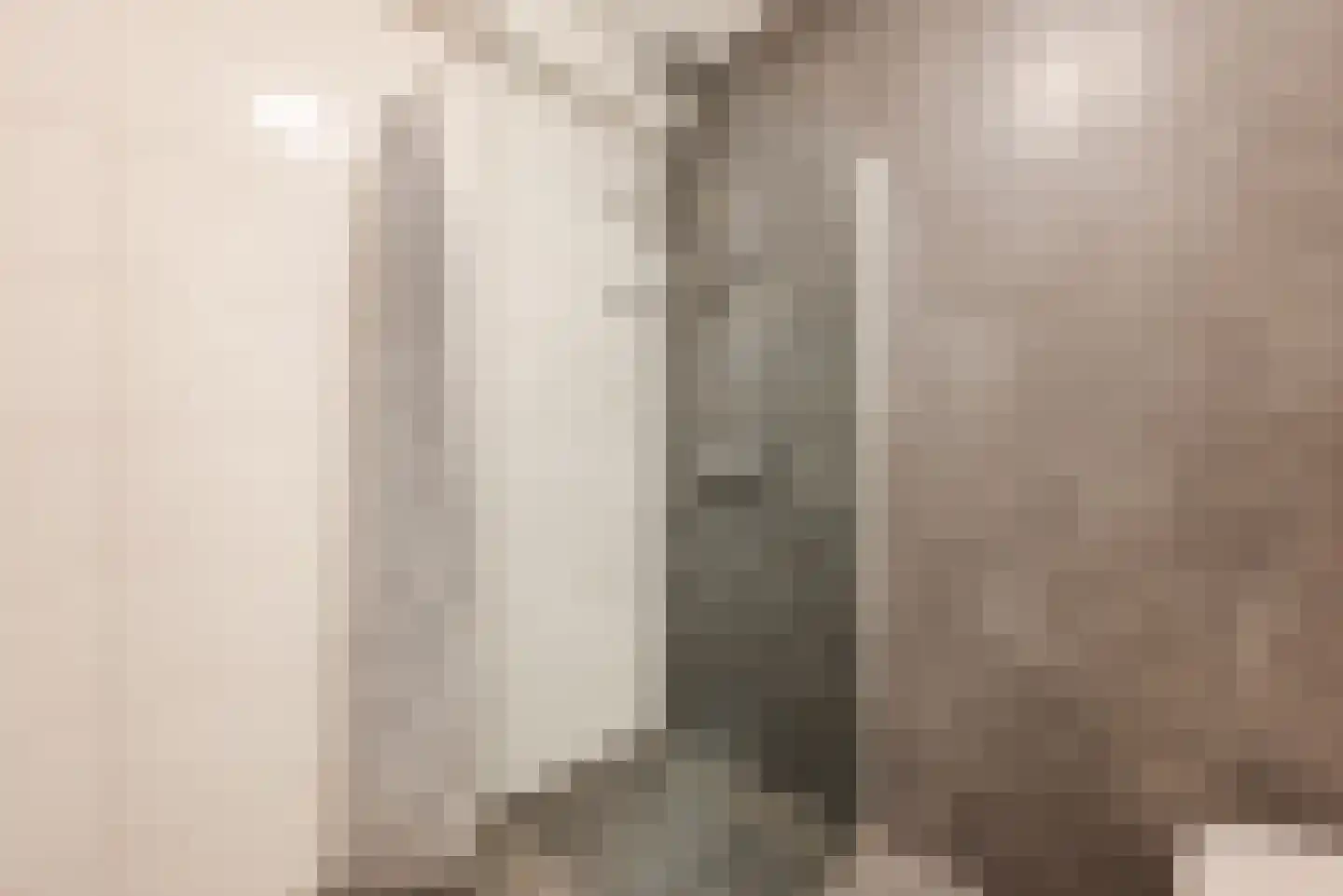 Reinkenstraat 42 G Eindhoven thumbnail 19