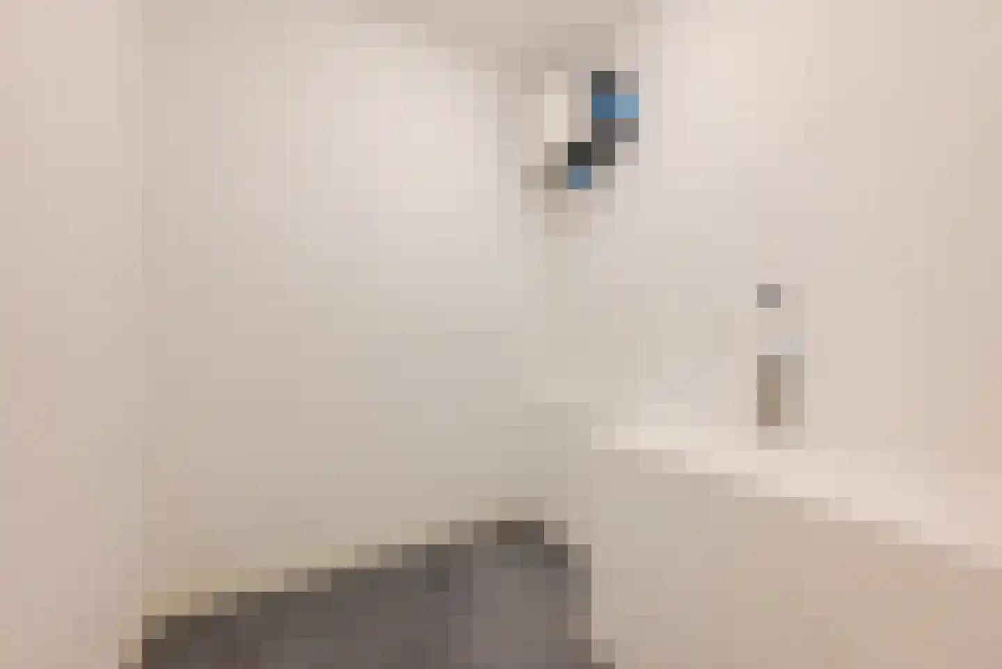 Reinkenstraat 42 G Eindhoven thumbnail 22