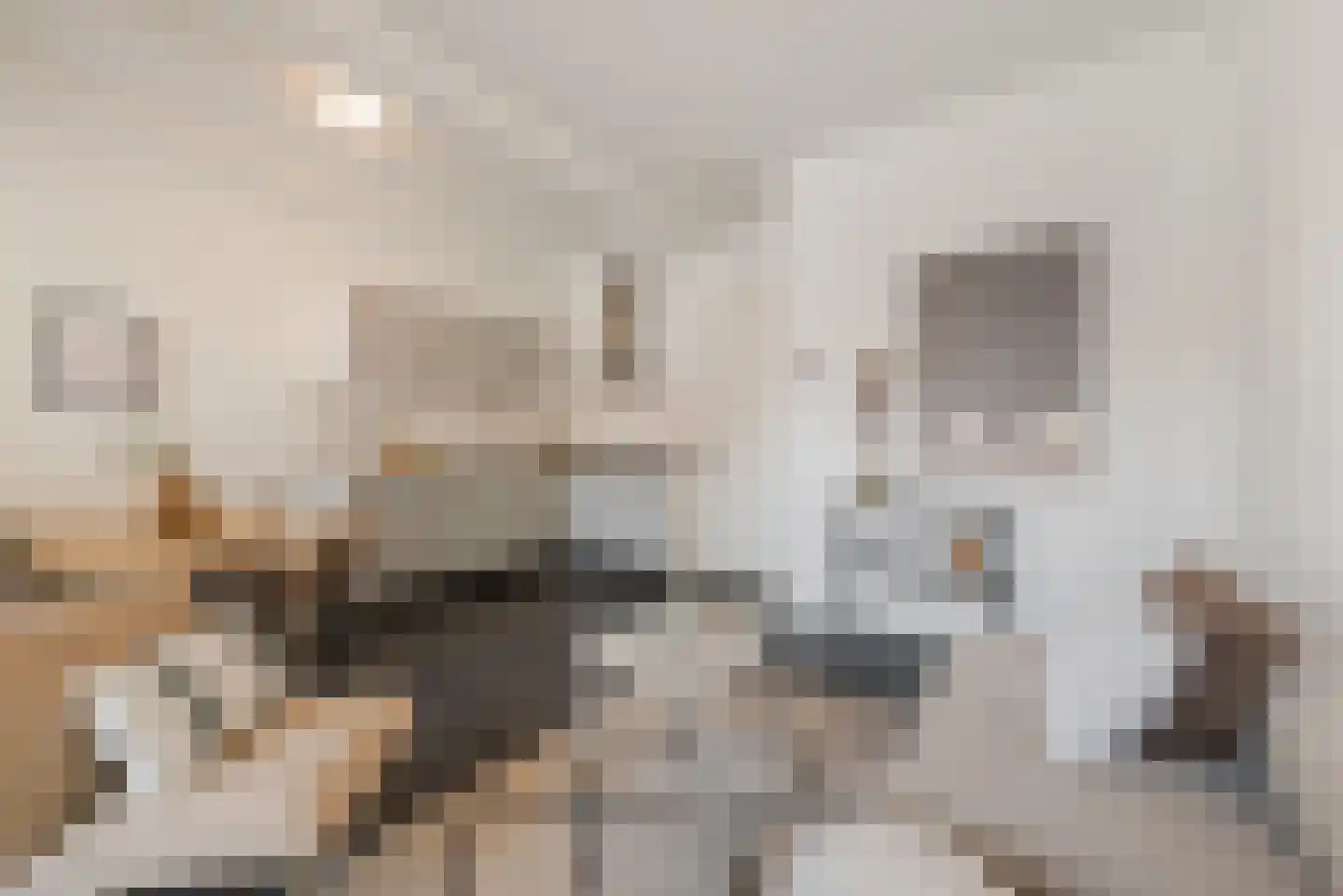 Reinkenstraat 42 G Eindhoven thumbnail 9
