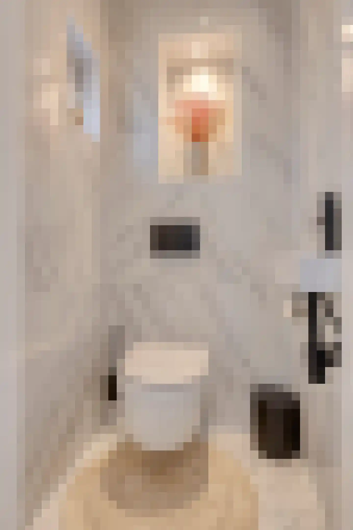 Reinkenstraat 6 Eindhoven thumbnail 11