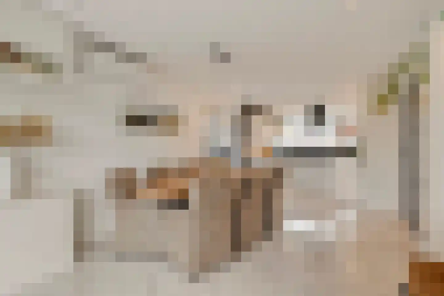 Reinkenstraat 6 Eindhoven thumbnail 19