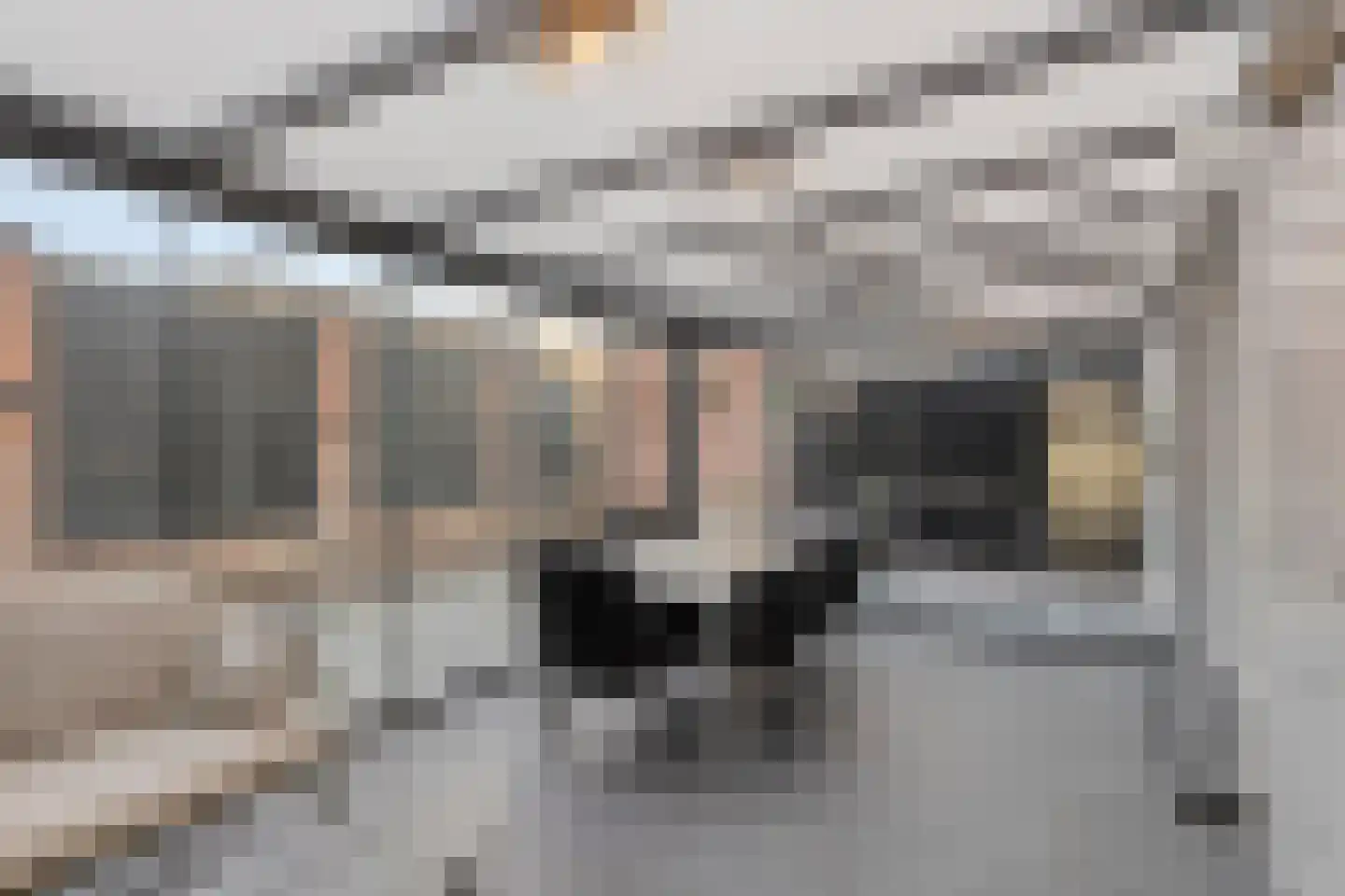 Reinkenstraat 6 Eindhoven thumbnail 25