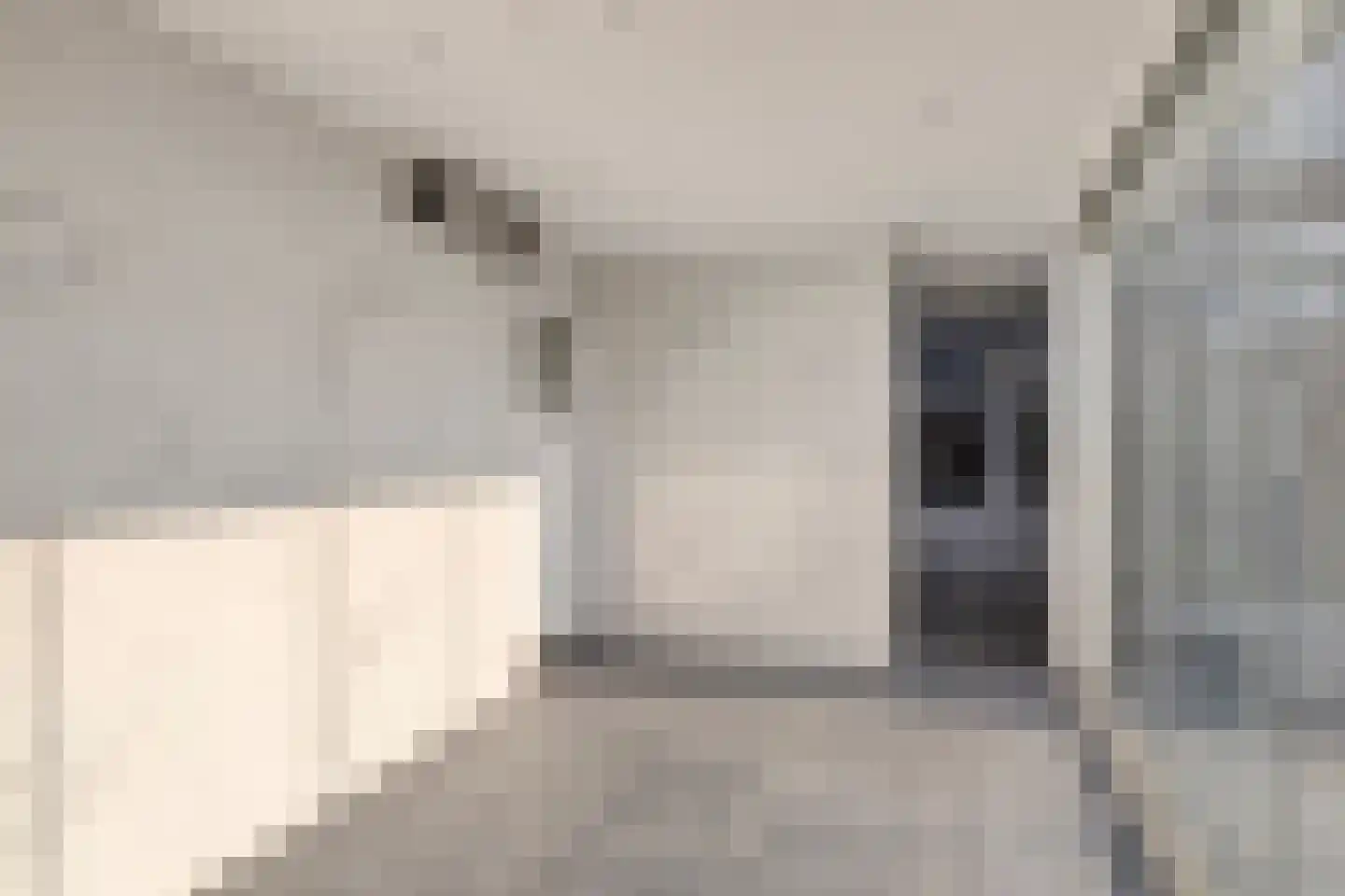 Reinkenstraat 6 Eindhoven thumbnail 36