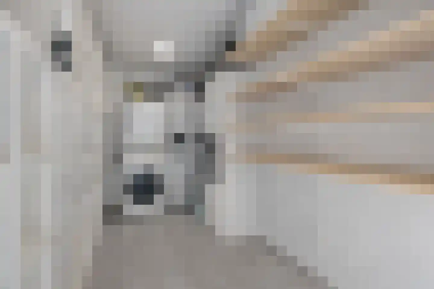 Reinkenstraat 6 Eindhoven thumbnail 42