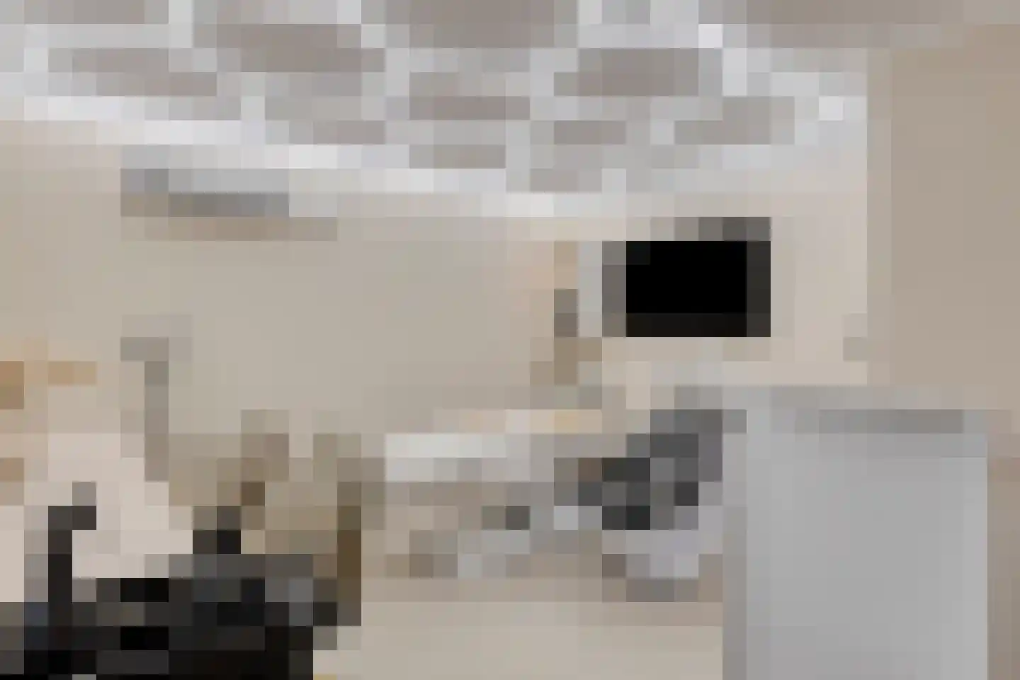 Reinkenstraat 6 Eindhoven thumbnail 43