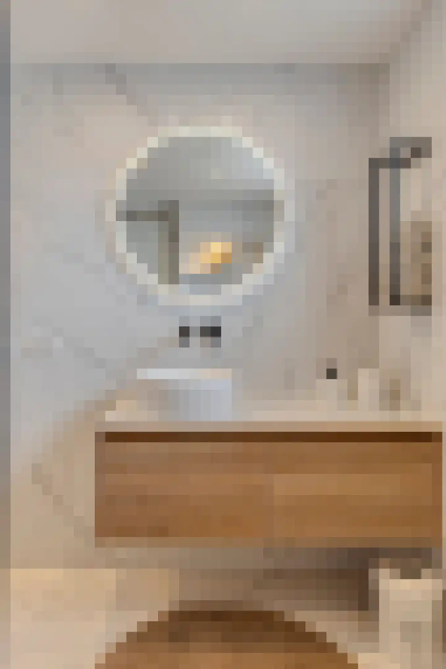 Reinkenstraat 6 Eindhoven thumbnail 52