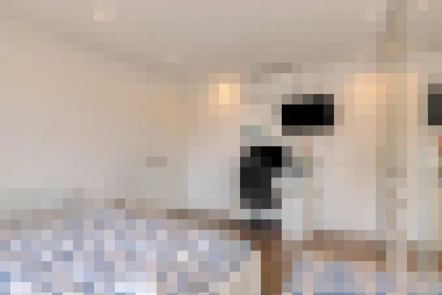 Reinkenstraat 6 Eindhoven thumbnail 55