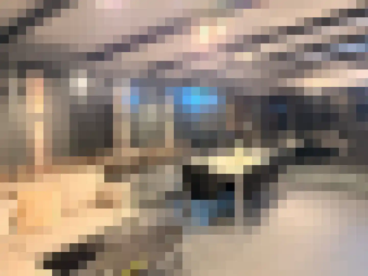 Reinkenstraat 6 Eindhoven thumbnail 64