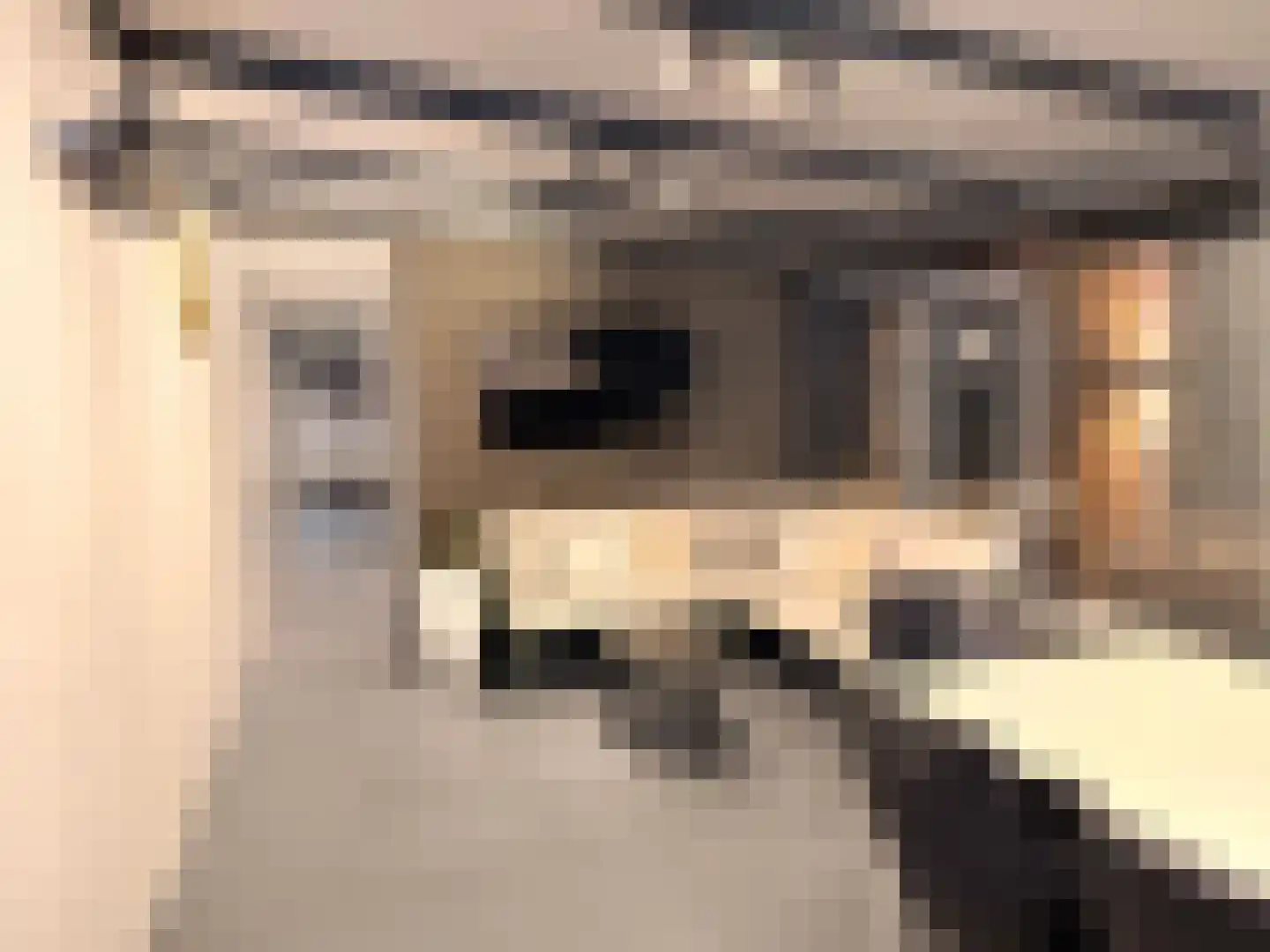 Reinkenstraat 6 Eindhoven thumbnail 65