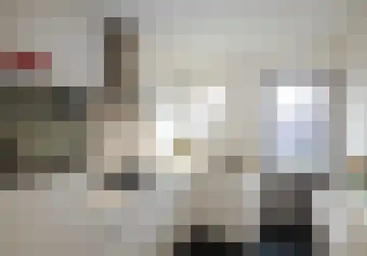Reinoldstraat 12 Uden thumbnail 11