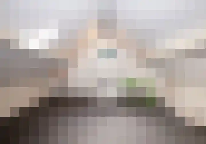 Reinoldstraat 12 Uden thumbnail 26