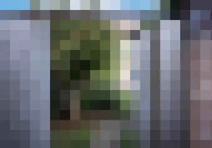 Reinoldstraat 12 Uden thumbnail 32