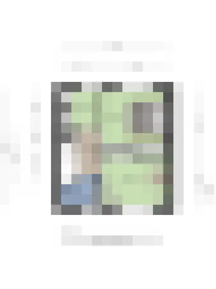 Reinoldstraat 12 Uden thumbnail 36