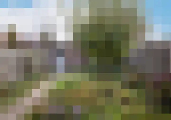 Reinoldstraat 12 Uden thumbnail 5