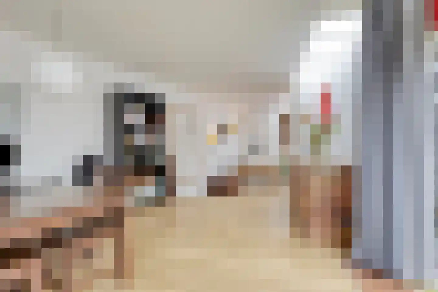 Reinoldstraat 23 Uden thumbnail 20