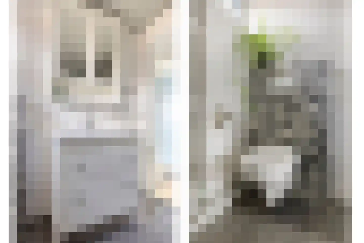 Reinoldstraat 23 Uden thumbnail 26