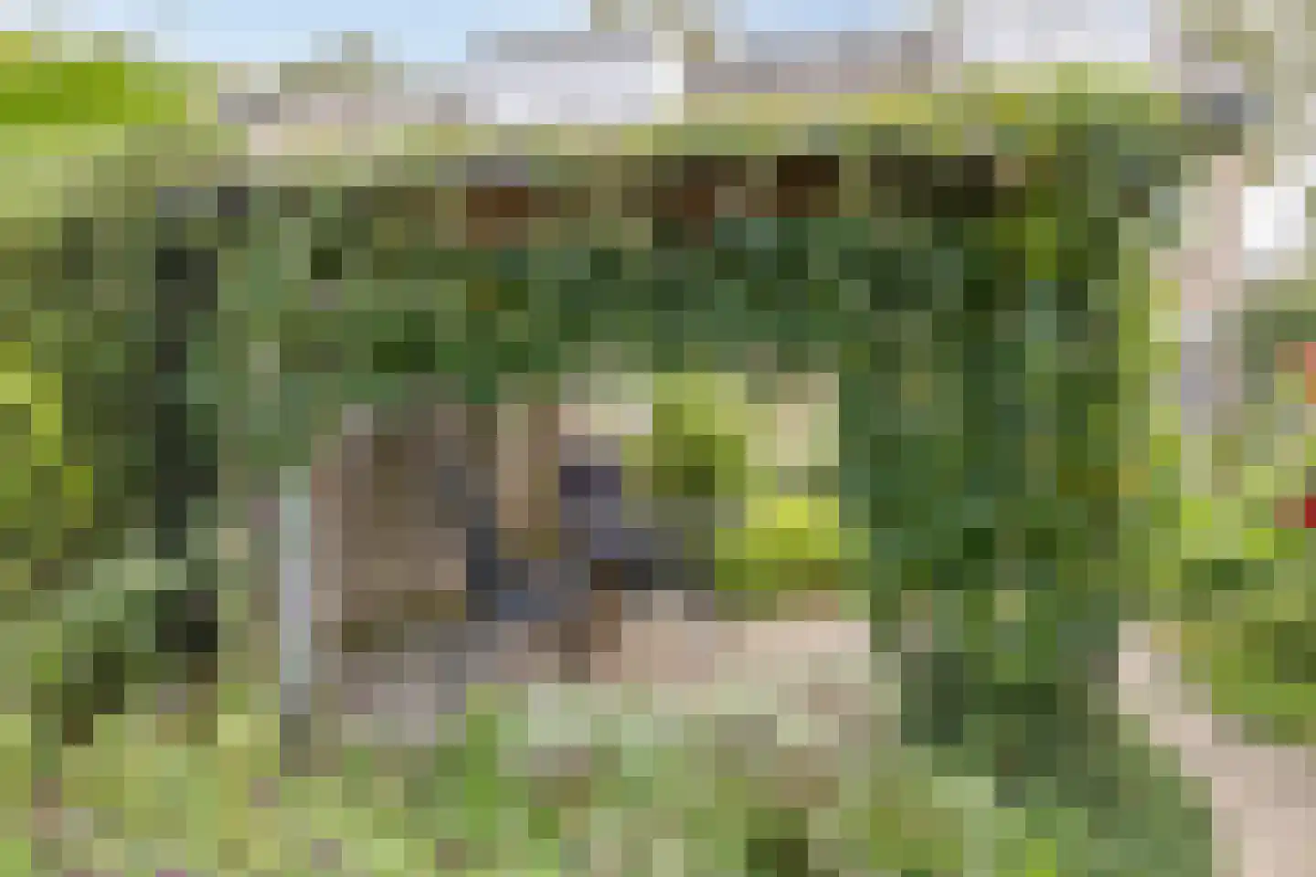 Reinoldstraat 23 Uden thumbnail 38