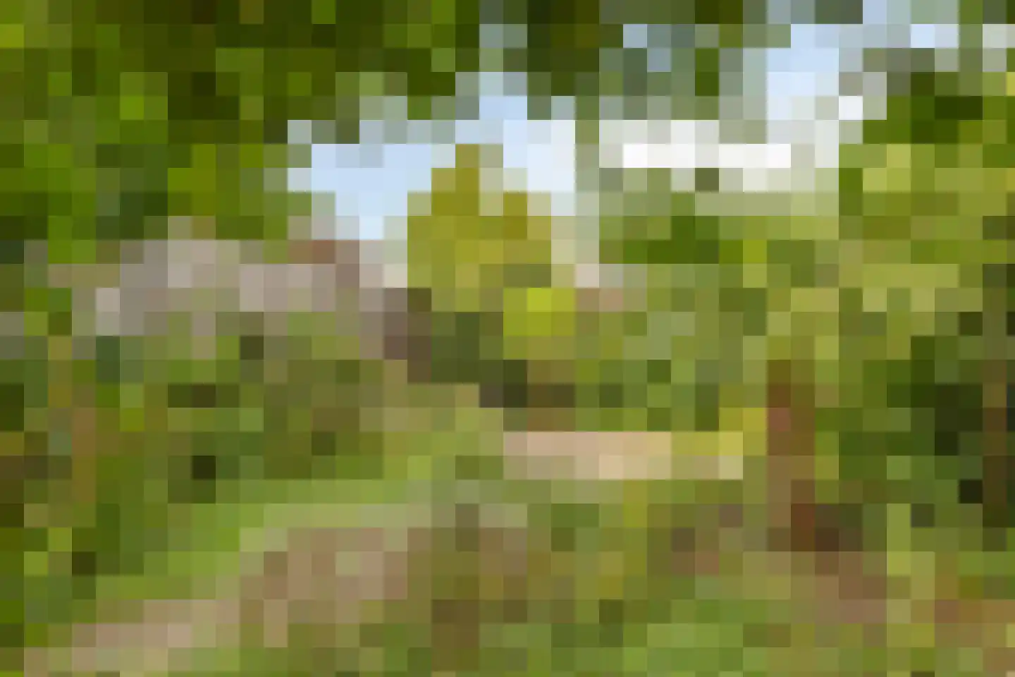 Reinoldstraat 23 Uden thumbnail 39