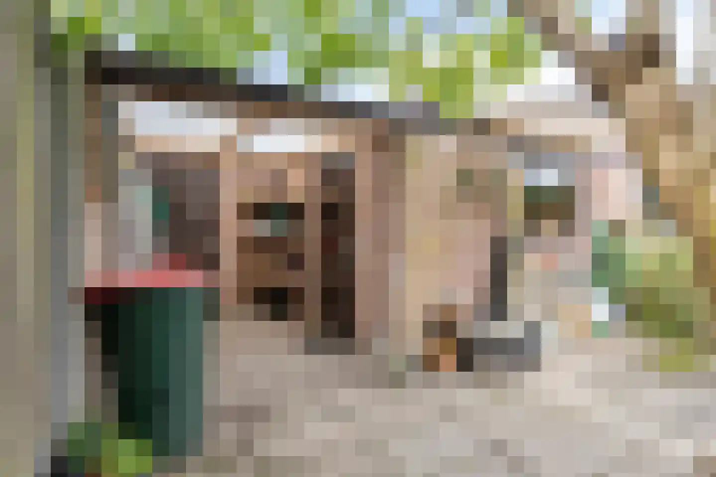 Reinoldstraat 23 Uden thumbnail 41