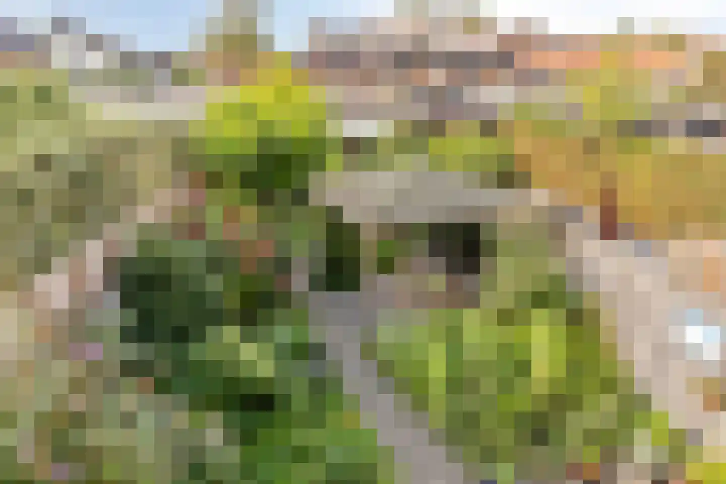 Reinoldstraat 23 Uden thumbnail 42