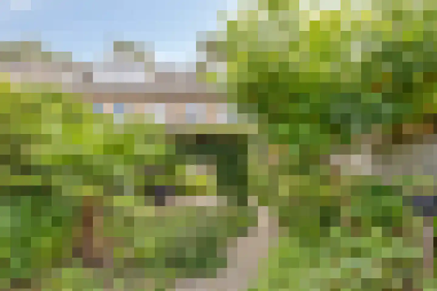 Reinoldstraat 23 Uden thumbnail 5