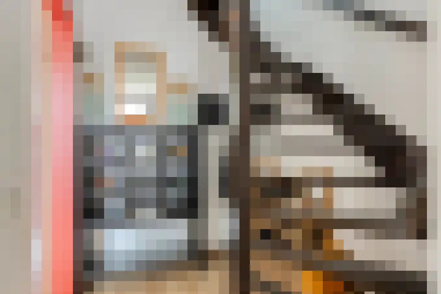 Reinoldstraat 23 Uden thumbnail 8