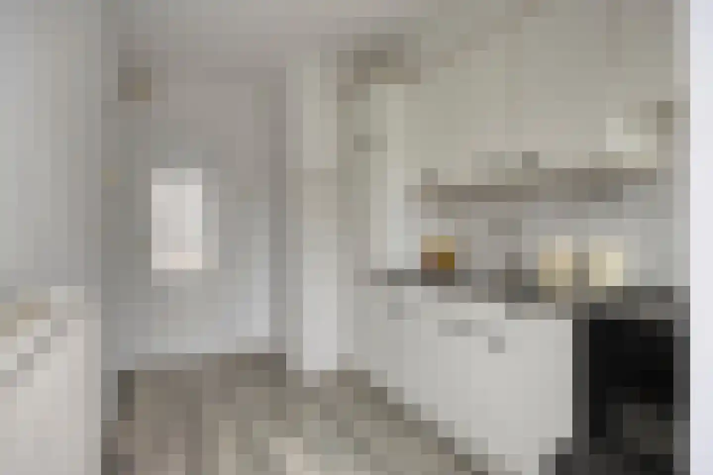 Reinoldstraat 28 Uden thumbnail 10