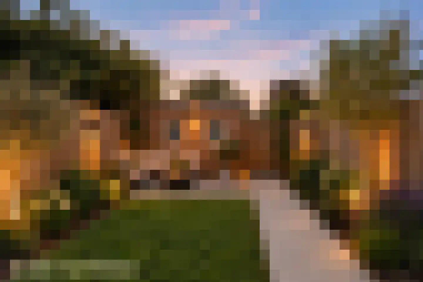 Reinoldstraat 28 Uden thumbnail 23