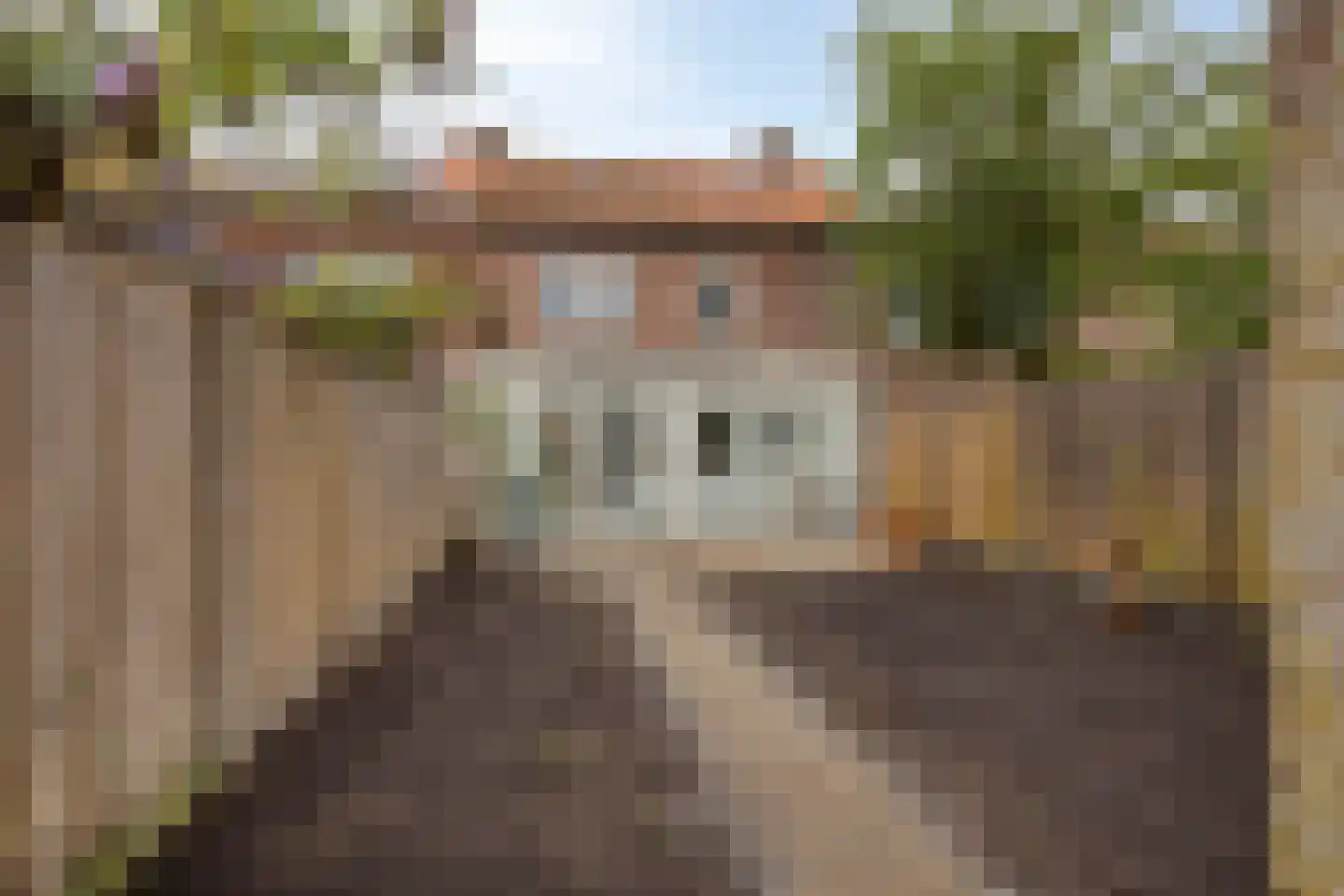 Reinoldstraat 28 Uden thumbnail 24