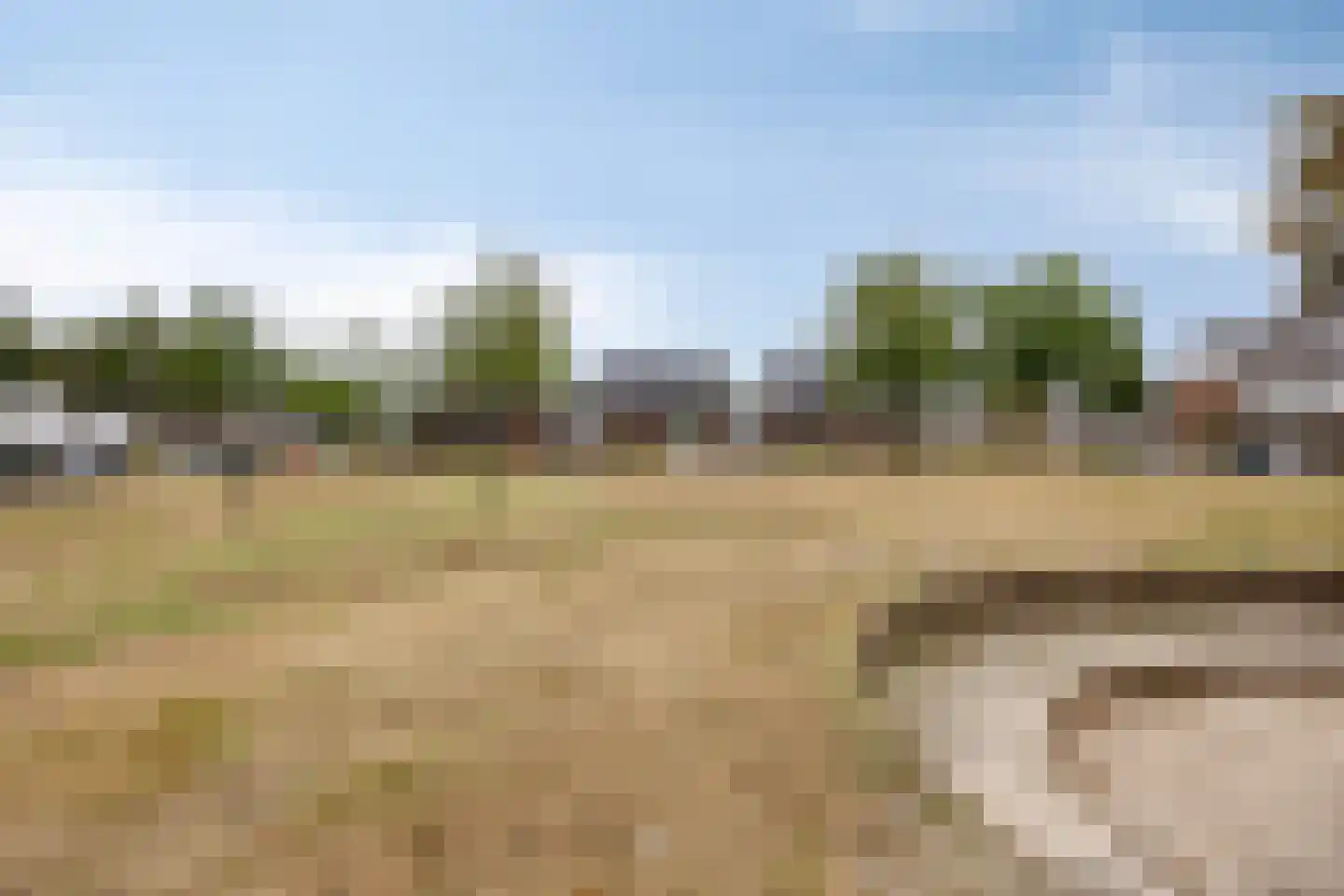 Reinoldstraat 28 Uden thumbnail 29