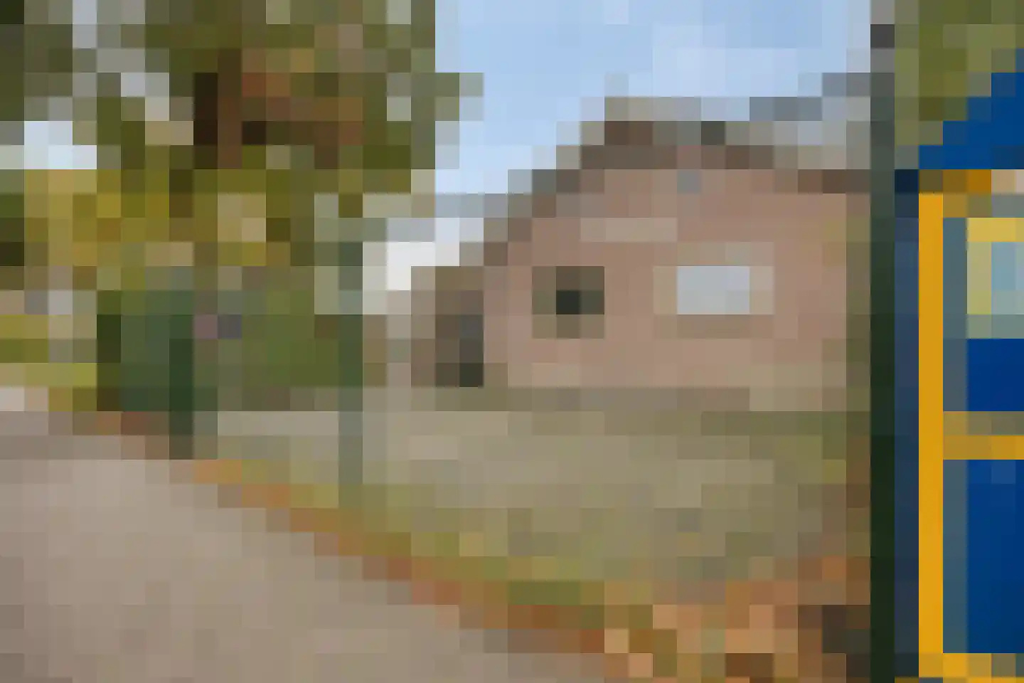 Reinoldstraat 28 Uden thumbnail 30
