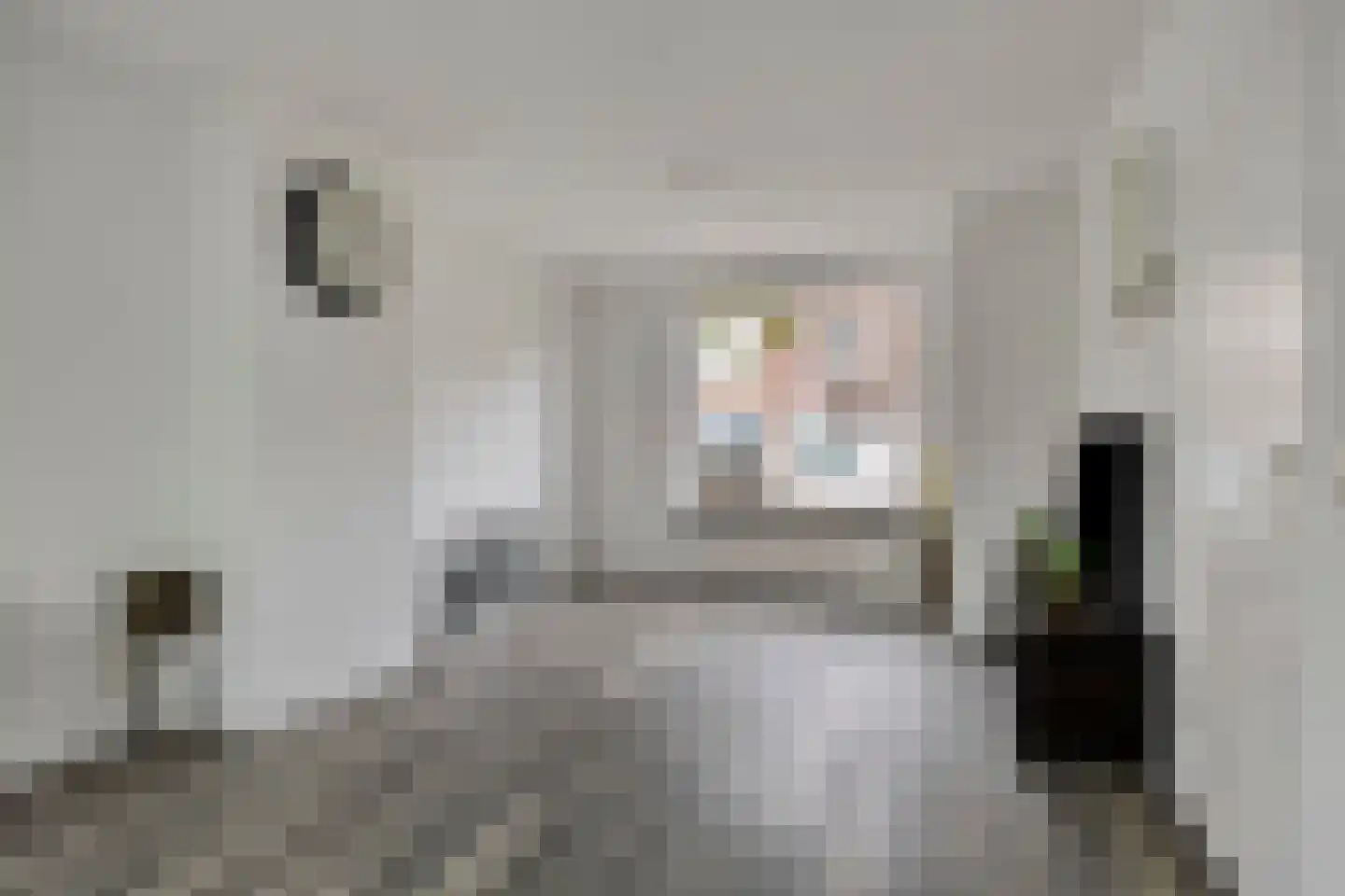 Reinoldstraat 28 Uden thumbnail 5