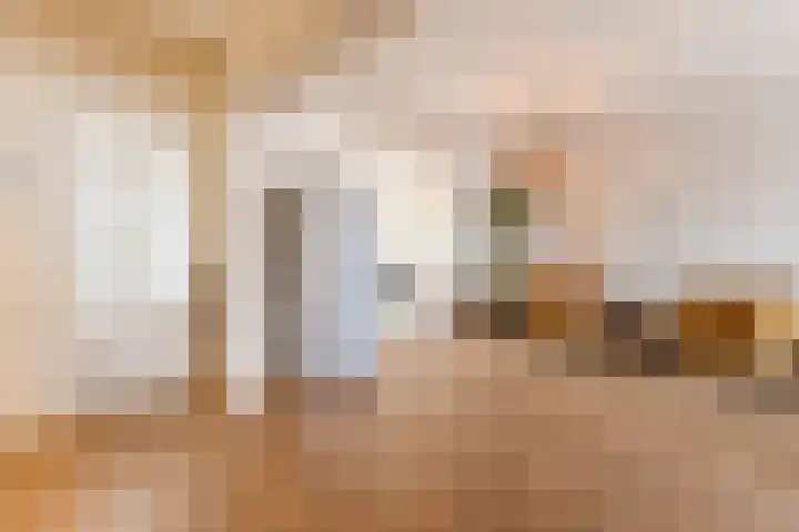 Reinoldstraat 8 Uden thumbnail 11