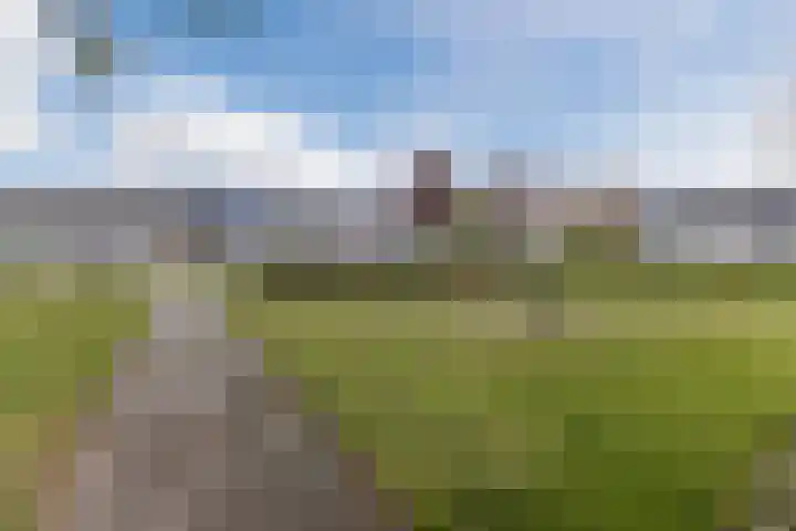 Reinoldstraat 8 Uden thumbnail 39