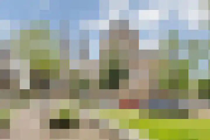 Reinoldstraat 8 Uden thumbnail 42