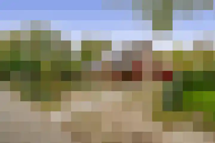 Reinoldstraat 8 Uden thumbnail 54
